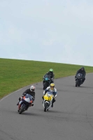 NOVICE MULTICOLOUR BIKES