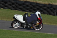 Motorcycle-action-photographs;anglesey-circuit;anglesey-trackday-photographs;event-digital-images;eventdigitalimages;no-limits-trackday;oulton-park-circuit-cheshire;peter-wileman-photography;trackday;trackday-digital-images;trackday-photos;ty-croes-circuit-wales