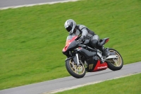 Motorcycle-action-photographs;anglesey-circuit;anglesey-trackday-photographs;event-digital-images;eventdigitalimages;no-limits-trackday;oulton-park-circuit-cheshire;peter-wileman-photography;trackday;trackday-digital-images;trackday-photos;ty-croes-circuit-wales