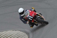 NOVICE MULTICOLOUR BIKES