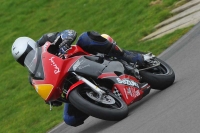 Motorcycle-action-photographs;anglesey-circuit;anglesey-trackday-photographs;event-digital-images;eventdigitalimages;no-limits-trackday;oulton-park-circuit-cheshire;peter-wileman-photography;trackday;trackday-digital-images;trackday-photos;ty-croes-circuit-wales