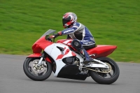 Motorcycle-action-photographs;anglesey-circuit;anglesey-trackday-photographs;event-digital-images;eventdigitalimages;no-limits-trackday;oulton-park-circuit-cheshire;peter-wileman-photography;trackday;trackday-digital-images;trackday-photos;ty-croes-circuit-wales