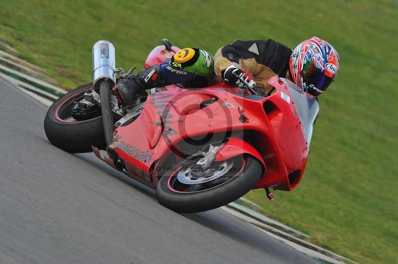 Motorcycle action photographs;anglesey circuit;anglesey trackday photographs;event digital images;eventdigitalimages;no limits trackday;oulton park circuit cheshire;peter wileman photography;trackday;trackday digital images;trackday photos;ty croes circuit wales