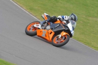 Motorcycle-action-photographs;anglesey-circuit;anglesey-trackday-photographs;event-digital-images;eventdigitalimages;no-limits-trackday;oulton-park-circuit-cheshire;peter-wileman-photography;trackday;trackday-digital-images;trackday-photos;ty-croes-circuit-wales