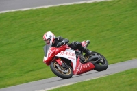 Motorcycle-action-photographs;anglesey-circuit;anglesey-trackday-photographs;event-digital-images;eventdigitalimages;no-limits-trackday;oulton-park-circuit-cheshire;peter-wileman-photography;trackday;trackday-digital-images;trackday-photos;ty-croes-circuit-wales