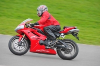 Motorcycle-action-photographs;anglesey-circuit;anglesey-trackday-photographs;event-digital-images;eventdigitalimages;no-limits-trackday;oulton-park-circuit-cheshire;peter-wileman-photography;trackday;trackday-digital-images;trackday-photos;ty-croes-circuit-wales