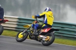 INTER GREEN/YELLOW BIKES