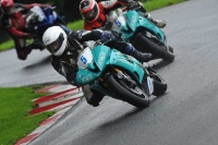 EVENING FAST/INTER BLUE/WHITE BIKES