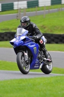 BLUE/WHITE BIKES