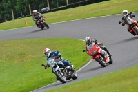 A GROUP 2  BLUE/WHITE BIKES