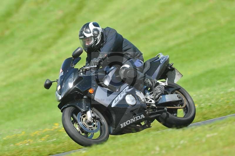 cadwell park;cadwell park photographs;cadwell trackday photographs;enduro digital images;event digital images;eventdigitalimages;hopp rider training;peter wileman photography;racing digital images;trackday digital images;trackday photos