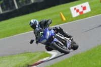 A GROUP BLUE/WHITE BIKES
