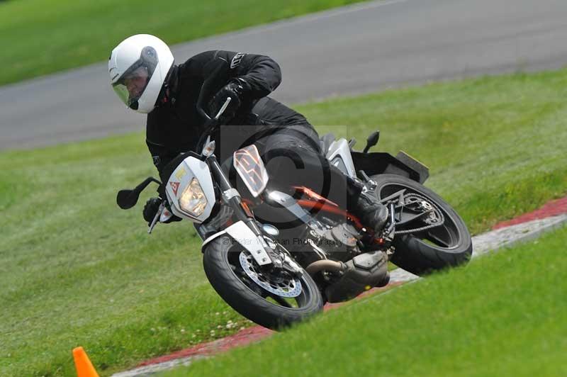 cadwell park;cadwell park photographs;cadwell trackday photographs;enduro digital images;event digital images;eventdigitalimages;hopp rider training;peter wileman photography;racing digital images;trackday digital images;trackday photos