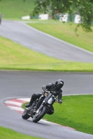 Motorcycle-action-photographs;Trackday-digital-images;cadwell;cadwell-park-photographs;event-digital-images;eventdigitalimages;motor-racing-louth-lincolnshire;no-limits-trackdays;peter-wileman-photography;trackday;trackday-photos