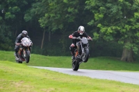 Motorcycle-action-photographs;Trackday-digital-images;cadwell;cadwell-park-photographs;event-digital-images;eventdigitalimages;motor-racing-louth-lincolnshire;no-limits-trackdays;peter-wileman-photography;trackday;trackday-photos