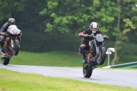 Motorcycle-action-photographs;Trackday-digital-images;cadwell;cadwell-park-photographs;event-digital-images;eventdigitalimages;motor-racing-louth-lincolnshire;no-limits-trackdays;peter-wileman-photography;trackday;trackday-photos