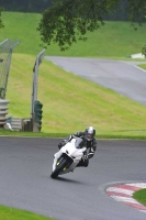 Motorcycle-action-photographs;Trackday-digital-images;cadwell;cadwell-park-photographs;event-digital-images;eventdigitalimages;motor-racing-louth-lincolnshire;no-limits-trackdays;peter-wileman-photography;trackday;trackday-photos