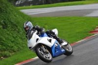 Motorcycle-action-photographs;Trackday-digital-images;cadwell;cadwell-park-photographs;event-digital-images;eventdigitalimages;motor-racing-louth-lincolnshire;no-limits-trackdays;peter-wileman-photography;trackday;trackday-photos