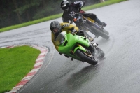 Motorcycle-action-photographs;Trackday-digital-images;cadwell;cadwell-park-photographs;event-digital-images;eventdigitalimages;motor-racing-louth-lincolnshire;no-limits-trackdays;peter-wileman-photography;trackday;trackday-photos