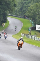 Motorcycle-action-photographs;Trackday-digital-images;cadwell;cadwell-park-photographs;event-digital-images;eventdigitalimages;motor-racing-louth-lincolnshire;no-limits-trackdays;peter-wileman-photography;trackday;trackday-photos