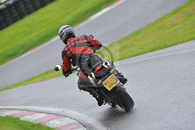 Motorcycle action photographs;Trackday digital images;cadwell;cadwell park photographs;event digital images;eventdigitalimages;motor racing louth lincolnshire;no limits trackdays;peter wileman photography;trackday;trackday photos