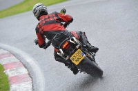 Motorcycle-action-photographs;Trackday-digital-images;cadwell;cadwell-park-photographs;event-digital-images;eventdigitalimages;motor-racing-louth-lincolnshire;no-limits-trackdays;peter-wileman-photography;trackday;trackday-photos