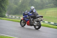 Motorcycle-action-photographs;Trackday-digital-images;cadwell;cadwell-park-photographs;event-digital-images;eventdigitalimages;motor-racing-louth-lincolnshire;no-limits-trackdays;peter-wileman-photography;trackday;trackday-photos