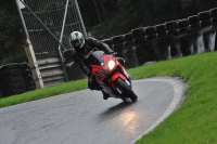 Motorcycle-action-photographs;Trackday-digital-images;cadwell;cadwell-park-photographs;event-digital-images;eventdigitalimages;motor-racing-louth-lincolnshire;no-limits-trackdays;peter-wileman-photography;trackday;trackday-photos