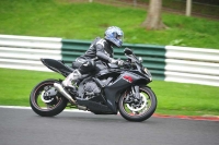 Motorcycle-action-photographs;Trackday-digital-images;cadwell;cadwell-park-photographs;event-digital-images;eventdigitalimages;motor-racing-louth-lincolnshire;no-limits-trackdays;peter-wileman-photography;trackday;trackday-photos