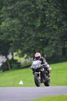 Motorcycle-action-photographs;Trackday-digital-images;cadwell;cadwell-park-photographs;event-digital-images;eventdigitalimages;motor-racing-louth-lincolnshire;no-limits-trackdays;peter-wileman-photography;trackday;trackday-photos