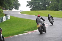 Motorcycle-action-photographs;Trackday-digital-images;cadwell;cadwell-park-photographs;event-digital-images;eventdigitalimages;motor-racing-louth-lincolnshire;no-limits-trackdays;peter-wileman-photography;trackday;trackday-photos