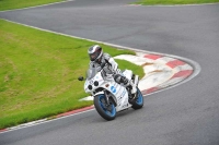 Motorcycle-action-photographs;Trackday-digital-images;cadwell;cadwell-park-photographs;event-digital-images;eventdigitalimages;motor-racing-louth-lincolnshire;no-limits-trackdays;peter-wileman-photography;trackday;trackday-photos