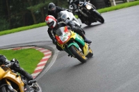 Motorcycle-action-photographs;Trackday-digital-images;cadwell;cadwell-park-photographs;event-digital-images;eventdigitalimages;motor-racing-louth-lincolnshire;no-limits-trackdays;peter-wileman-photography;trackday;trackday-photos