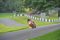 Motorcycle-action-photographs;Trackday-digital-images;cadwell;cadwell-park-photographs;event-digital-images;eventdigitalimages;motor-racing-louth-lincolnshire;no-limits-trackdays;peter-wileman-photography;trackday;trackday-photos
