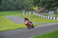 Motorcycle-action-photographs;Trackday-digital-images;cadwell;cadwell-park-photographs;event-digital-images;eventdigitalimages;motor-racing-louth-lincolnshire;no-limits-trackdays;peter-wileman-photography;trackday;trackday-photos