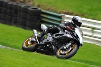 Motorcycle-action-photographs;Trackday-digital-images;cadwell;cadwell-park-photographs;event-digital-images;eventdigitalimages;motor-racing-louth-lincolnshire;no-limits-trackdays;peter-wileman-photography;trackday;trackday-photos