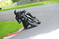 Motorcycle-action-photographs;Trackday-digital-images;cadwell;cadwell-park-photographs;event-digital-images;eventdigitalimages;motor-racing-louth-lincolnshire;no-limits-trackdays;peter-wileman-photography;trackday;trackday-photos