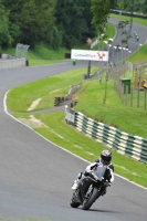 Motorcycle-action-photographs;Trackday-digital-images;cadwell;cadwell-park-photographs;event-digital-images;eventdigitalimages;motor-racing-louth-lincolnshire;no-limits-trackdays;peter-wileman-photography;trackday;trackday-photos