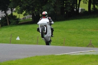 Motorcycle-action-photographs;Trackday-digital-images;cadwell;cadwell-park-photographs;event-digital-images;eventdigitalimages;motor-racing-louth-lincolnshire;no-limits-trackdays;peter-wileman-photography;trackday;trackday-photos