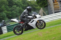 Motorcycle-action-photographs;Trackday-digital-images;cadwell;cadwell-park-photographs;event-digital-images;eventdigitalimages;motor-racing-louth-lincolnshire;no-limits-trackdays;peter-wileman-photography;trackday;trackday-photos