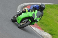 Motorcycle-action-photographs;Trackday-digital-images;cadwell;cadwell-park-photographs;event-digital-images;eventdigitalimages;motor-racing-louth-lincolnshire;no-limits-trackdays;peter-wileman-photography;trackday;trackday-photos