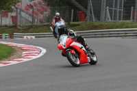 Motorcycle-action-photographs;Trackday-digital-images;brands;brands-hatch-photographs;event-digital-images;eventdigitalimages;motor-racing-london;no-limits-trackday;peter-wileman-photography;trackday;trackday-photos
