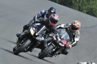 Motorcycle-action-photographs;Trackday-digital-images;event-digital-images;eventdigitalimages;no-limits-trackday;oulton-park;oulton-park-circuit-cheshire;oulton-park-photographs;peter-wileman-photography;trackday;trackday-photos
