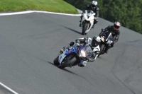 Motorcycle-action-photographs;Trackday-digital-images;event-digital-images;eventdigitalimages;no-limits-trackday;oulton-park;oulton-park-circuit-cheshire;oulton-park-photographs;peter-wileman-photography;trackday;trackday-photos