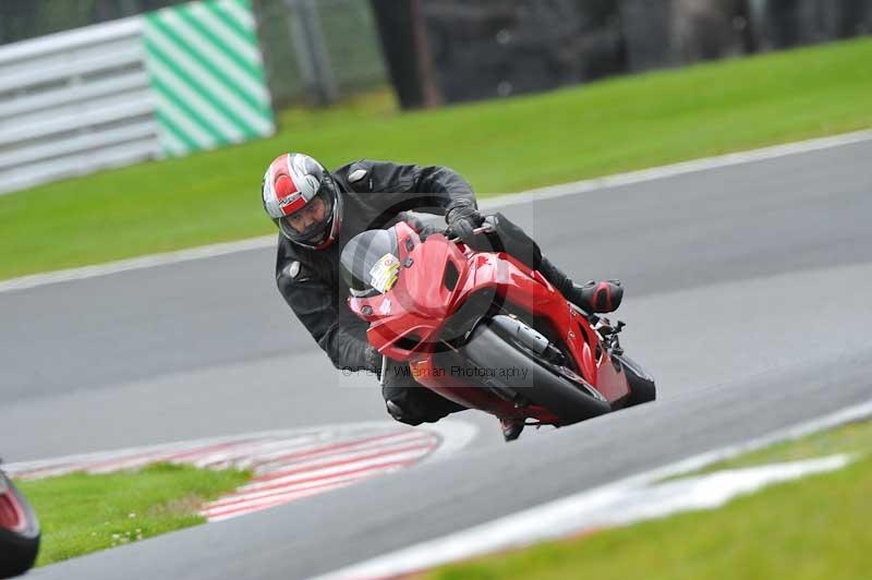 Motorcycle action photographs;Trackday digital images;event digital images;eventdigitalimages;no limits trackday;oulton park;oulton park circuit cheshire;oulton park photographs;peter wileman photography;trackday;trackday photos