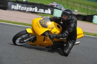 Motorcycle-action-photographs;Trackday-digital-images;event-digital-images;eventdigitalimages;no-limits-trackday;oulton-park;oulton-park-circuit-cheshire;oulton-park-photographs;peter-wileman-photography;trackday;trackday-photos