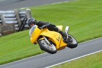 Motorcycle-action-photographs;Trackday-digital-images;event-digital-images;eventdigitalimages;no-limits-trackday;oulton-park;oulton-park-circuit-cheshire;oulton-park-photographs;peter-wileman-photography;trackday;trackday-photos