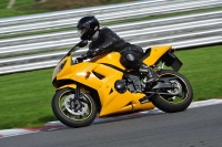 Motorcycle-action-photographs;Trackday-digital-images;event-digital-images;eventdigitalimages;no-limits-trackday;oulton-park;oulton-park-circuit-cheshire;oulton-park-photographs;peter-wileman-photography;trackday;trackday-photos