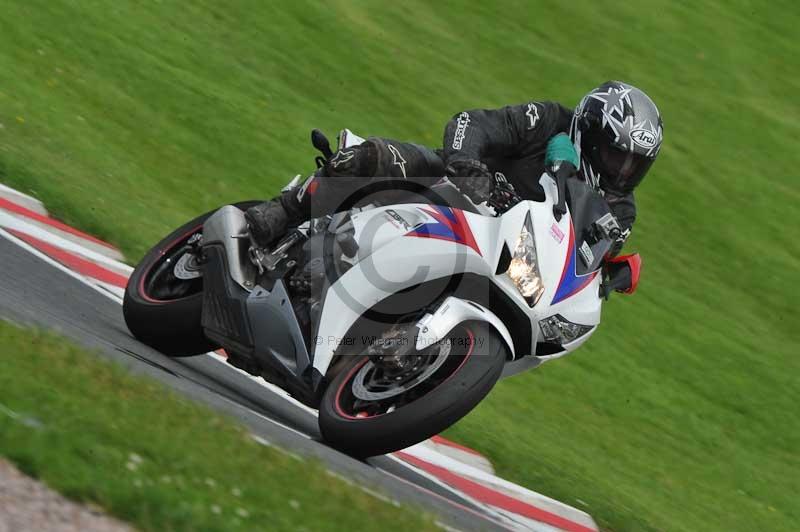 Motorcycle action photographs;Trackday digital images;event digital images;eventdigitalimages;no limits trackday;oulton park;oulton park circuit cheshire;oulton park photographs;peter wileman photography;trackday;trackday photos
