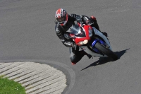 NOVICE MULTICOLOUR BIKES